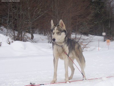 Vick Of eagle river